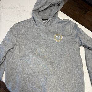 Puma Gray Hoodie